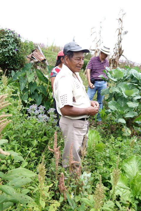 Ernesto Buesaco, manager of the coffee farms in La Amistad