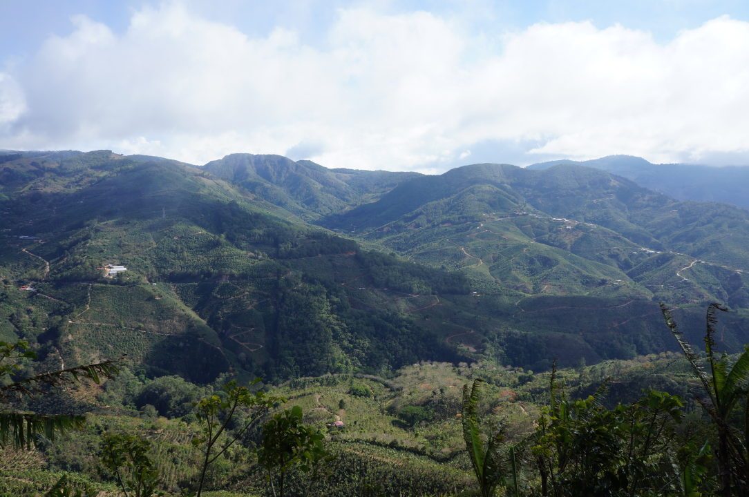 Tarrazu Costa Rica