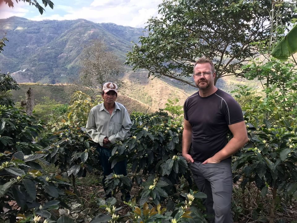 Clemente coffee plantation