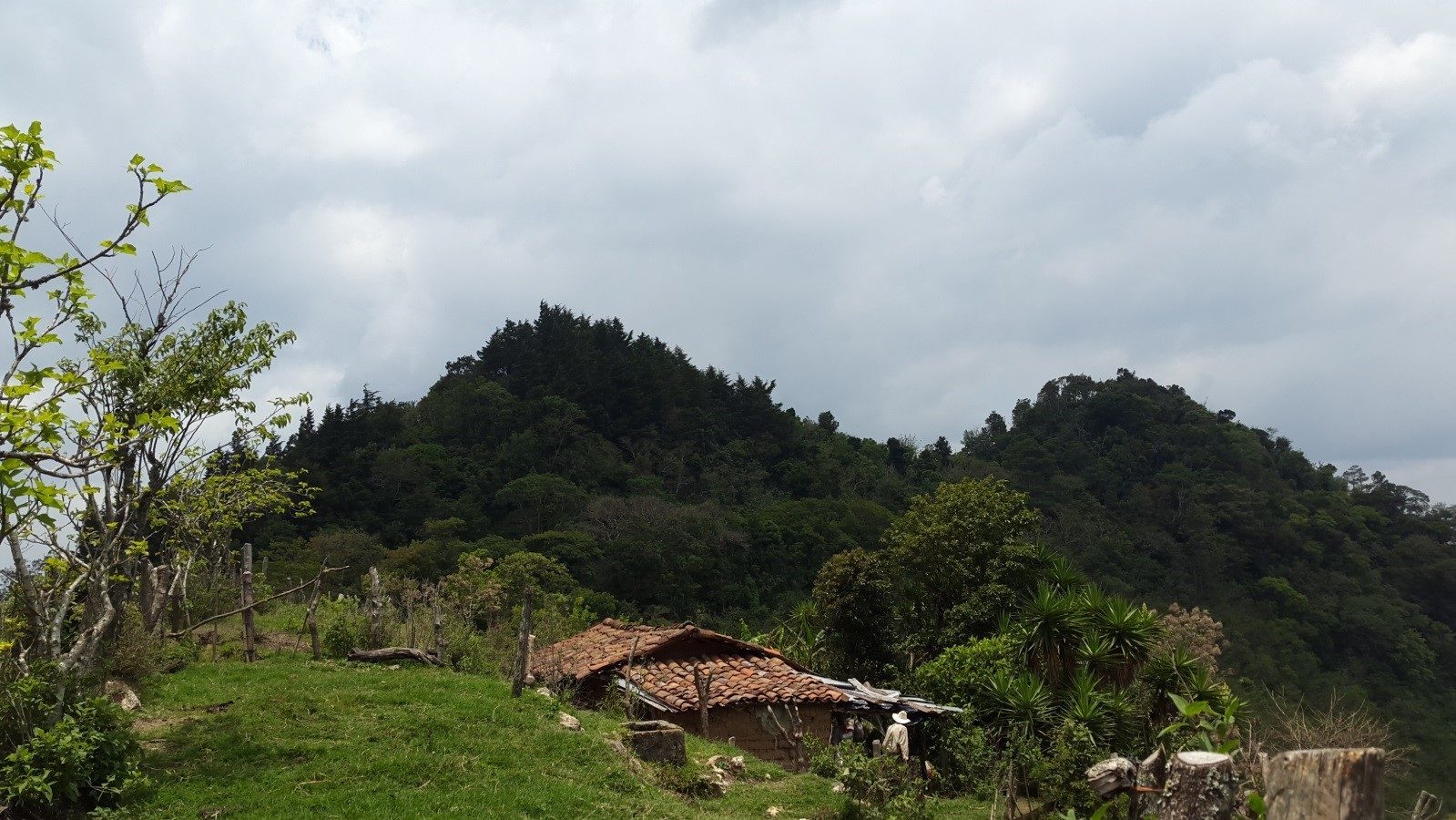 Cerro Los Tamales og myten bak navnet